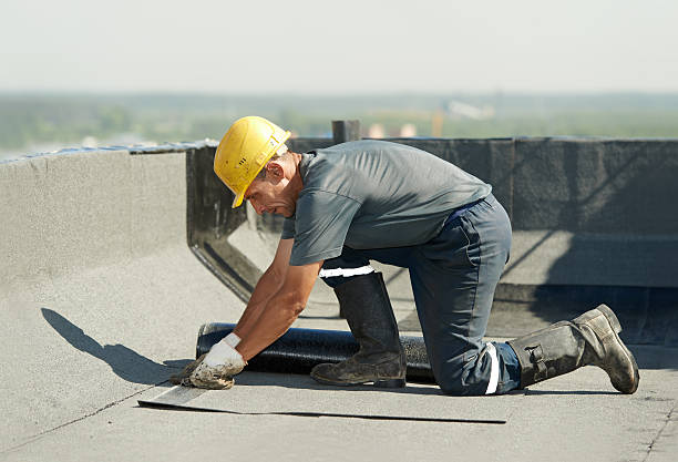 Best Crawl Space Insulation  in Evans, GA