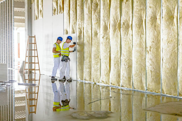 Best Cellulose Insulation  in Evans, GA